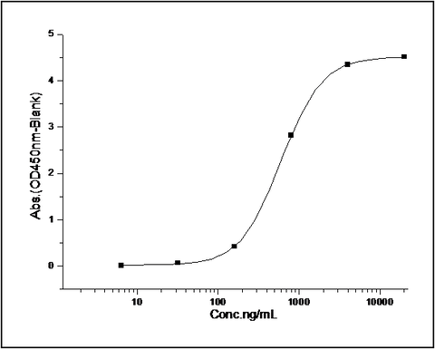 Measured by its binding ability in a functional ELISA. Immobilized mouse PD-L2-his at 10 μg/mL (100 μl/well) can bind mouse PD1-Fc. The EC<sub>50</sub> of mouse PD1-Fc is 1.63 μg/mL.