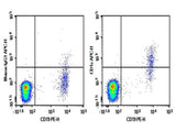 Anti-Human CD1c Antibody [L161] - ABMIUM