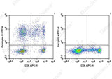 Anti-Human Granzyme B Antibody [QA18A28] - ABMIUM