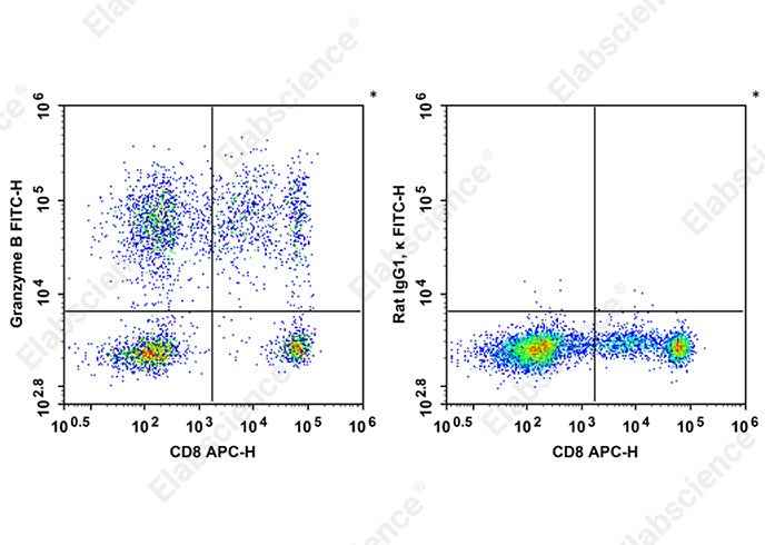 Anti-Human Granzyme B Antibody [QA18A28] - ABMIUM