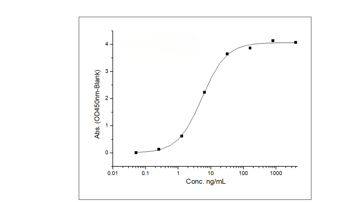 Mouse BCMA Protein 40579,Immobilized Anti-BCMA Antibody, Human IgG1 at 2 μg/mL (100 μL/well) can bind Recombinant Mouse TNFRSF17 / BCMA Protein (His & Fc Tag) (Cat: PKSM040938), the EC<sub>50</sub> is 3-10 ng/mL.