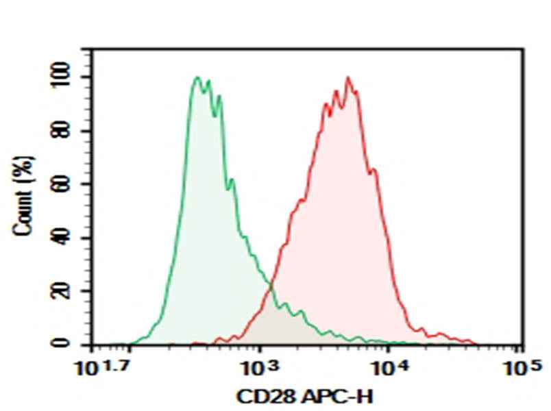 Anti-Mouse CD28 Antibody [PV-1] - ABMIUM