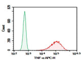 Anti-Mouse TNF-α Antibody [MP6-XT22] - ABMIUM