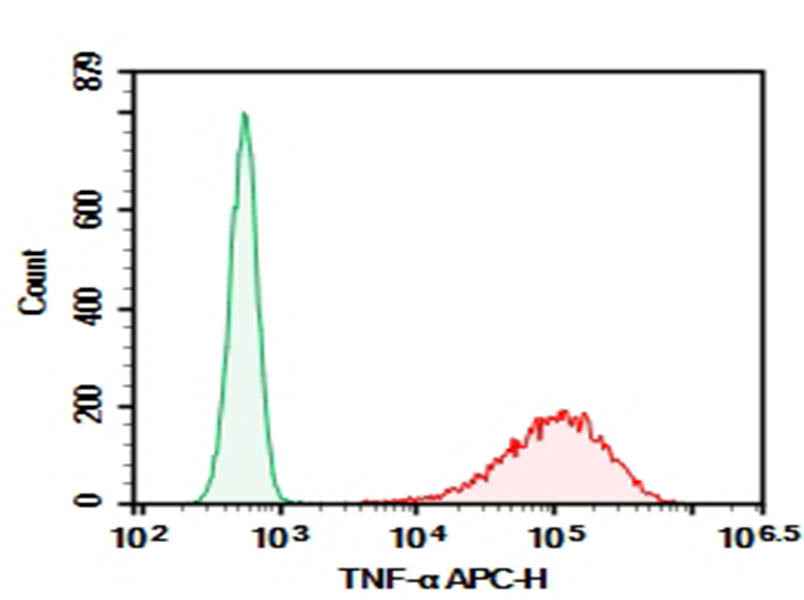 Anti-Mouse TNF-α Antibody [MP6-XT22] - ABMIUM