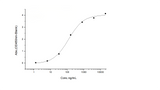 Immobilized Human FcγRIIB/C / CD32b/c recombinant protein (Cat: PKSH031727) can bind biotinylated human IgG1, The EC<sub>50</sub> is 60-180 ng/mL.