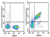 C57/BL6 Mouse splenocytes were stained with 0.2 μg AF/LE Purified Anti-Mouse TCRβ Antibody[H57-597] (Right) and 0.2 μg Armenian Hamster IgG, κ Isotype Control (Left), followed by Elab Fluor<sup>®</sup> 647-conjugated Goat Anti- Armenian Hamster IgG Secondary Antibody, then anti-Mouse CD3 PE-conjugated Monoclonal Antibody.