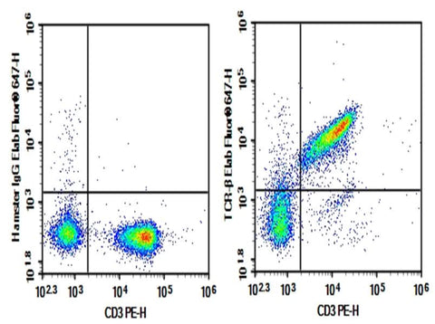 C57/BL6 Mouse splenocytes were stained with 0.2 μg AF/LE Purified Anti-Mouse TCRβ Antibody[H57-597] (Right) and 0.2 μg Armenian Hamster IgG, κ Isotype Control (Left), followed by Elab Fluor<sup>®</sup> 647-conjugated Goat Anti- Armenian Hamster IgG Secondary Antibody, then anti-Mouse CD3 PE-conjugated Monoclonal Antibody.