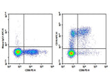 Human peripheral blood lymphocytes were stained with 0.2 μg AF/LE Purified Anti-Human CD16 Antibody[3G8] (Right) and 0.2 μg Mouse IgG1, κ Isotype Control (Left), followed by APC-conjugated Goat Anti-Mouse IgG Secondary Antibody, then anti-Human CD56 PE-conjugated Monoclonal Antibody.