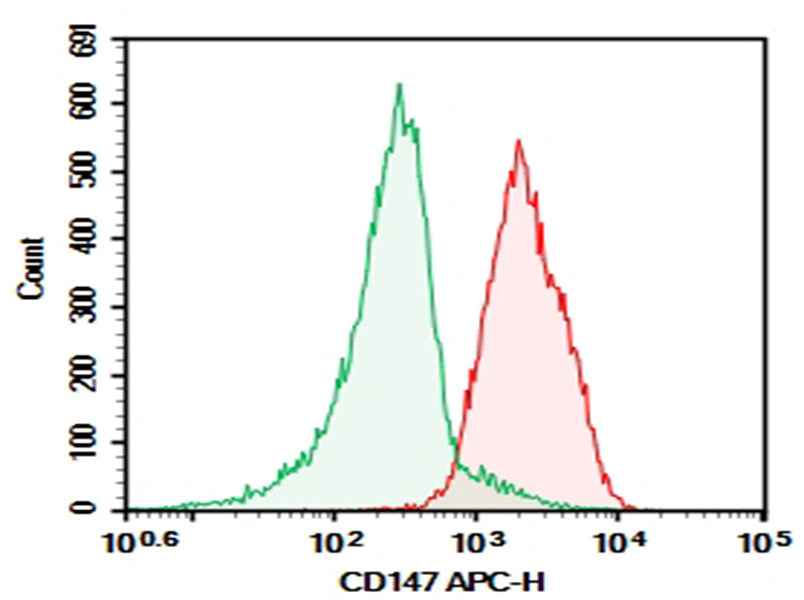 Anti-Human CD147 Antibody [3A3] - ABMIUM