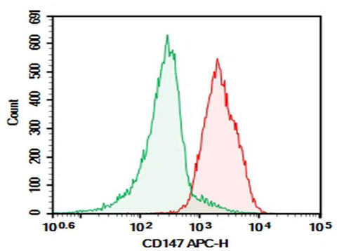 Anti-Human CD147 Antibody [3A3] - ABMIUM