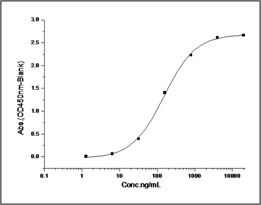 Measured by its binding ability in a functional ELISA. Immobilized human EphB4 at 2 μg/ml (100 μl/well) can bind human EphrinB2 with a linear range of 1-125 ng/ml.