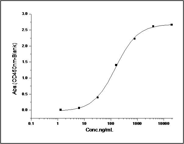 Measured by its binding ability in a functional ELISA. Immobilized human EphB4 at 2 μg/ml (100 μl/well) can bind human EphrinB2 with a linear range of 1-125 ng/ml.