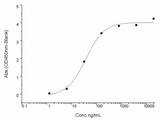 Measured by its binding ability in a functional ELISA. Immobilized ACE2 Protein, Human, Recombinant (mFc Tag)(Cat: PKSH031870) at 2 μg/mL (100 μL/well) can bind SARS-CoV-2 (2019-nCoV) Spike RBD-His (W436R) Recombinant Protein (PKSR030534), the EC<sub>50</sub> of SARS-CoV-2 (2019-nCoV) Spike RBD-His (W436R) Recombinant Protein (PKSR030534) is 20-50 ng/mL.