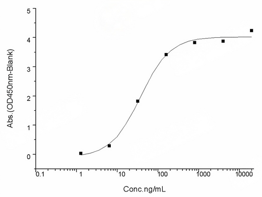 Measured by its binding ability in a functional ELISA. Immobilized ACE2 Protein, Human, Recombinant (mFc Tag)(Cat: PKSH031870) at 2 μg/mL (100 μL/well) can bind SARS-CoV-2 (2019-nCoV) Spike RBD-His (W436R) Recombinant Protein (PKSR030534), the EC<sub>50</sub> of SARS-CoV-2 (2019-nCoV) Spike RBD-His (W436R) Recombinant Protein (PKSR030534) is 20-50 ng/mL.