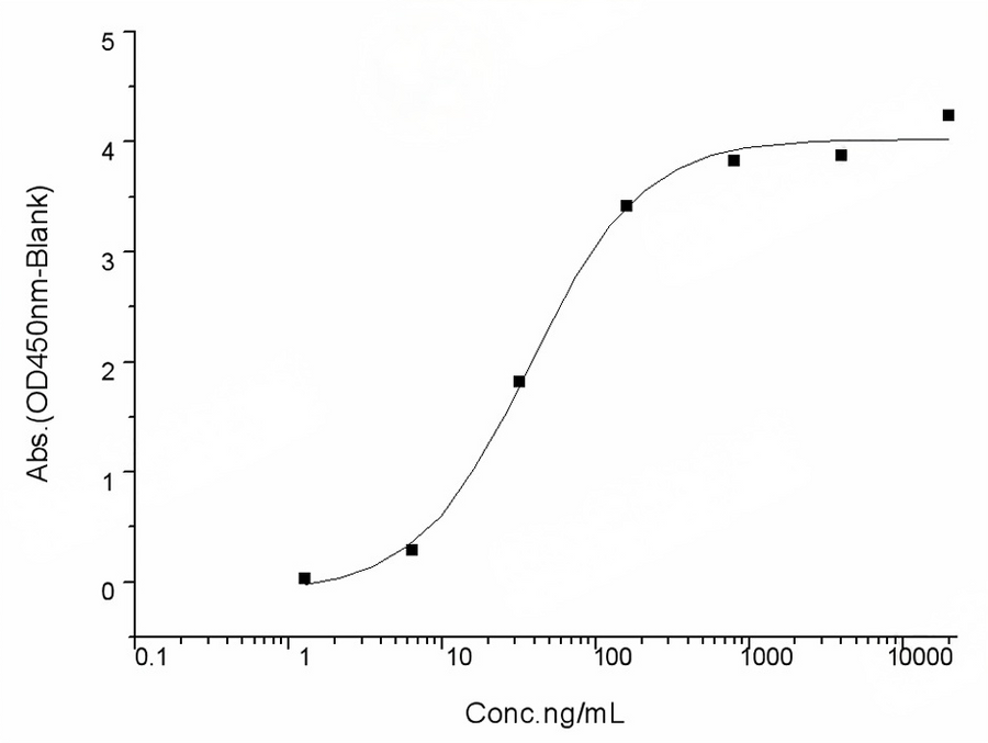 Measured by its binding ability in a functional ELISA. Immobilized ACE2 Protein, Human, Recombinant (mFc Tag)(Cat: PKSH031870) at 2 μg/mL (100 μL/well) can bind SARS-CoV-2 (2019-nCoV) Spike RBD-His (W436R) Recombinant Protein (PKSR030534), the EC<sub>50</sub> of SARS-CoV-2 (2019-nCoV) Spike RBD-His (W436R) Recombinant Protein (PKSR030534) is 20-50 ng/mL.