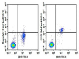 Anti-Human CD22 Antibody [RFB4] - ABMIUM
