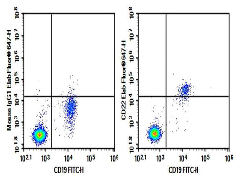 Anti-Human CD22 Antibody [RFB4] - ABMIUM