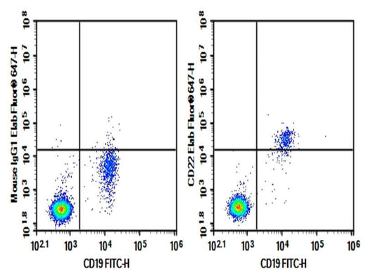 Anti-Human CD22 Antibody [RFB4] - ABMIUM