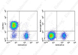 Human peripheral blood lymphocytes are stained with APC Anti-Human CD19 Antibody and FITC Anti-Human CD2 Antibody[HIT11] (Left). Lymphocytes are stained with APC Anti-Human CD19 Antibody and FITC Mouse IgG1, κ Isotype Control (Right). 