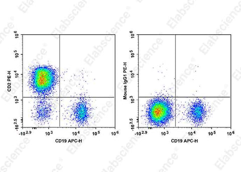 Human peripheral blood lymphocytes are stained with APC Anti-Human CD19 Antibody and FITC Anti-Human CD2 Antibody[HIT11] (Left). Lymphocytes are stained with APC Anti-Human CD19 Antibody and FITC Mouse IgG1, κ Isotype Control (Right).