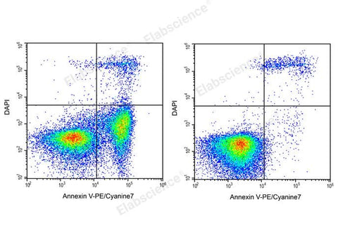 Annexin V-PE/Cyanine7/DAPI Apoptosis Kit - ABMIUM