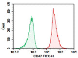 Rat splenocytes were stained with 0.2 μg AF/LE Purified Anti-Human/Mouse/Rat CD47 Antibody[MIAP410] (Right) and 0.2 μg Mouse IgG1, κ Isotype Control (Left), followed by FITC-conjugated Goat Anti-Mouse IgG Secondary Antibody.