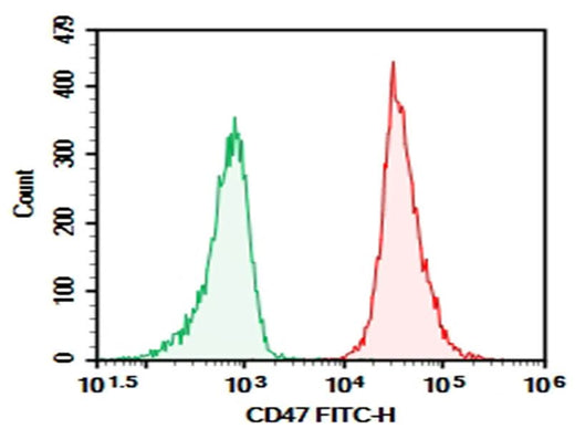 Rat splenocytes were stained with 0.2 μg AF/LE Purified Anti-Human/Mouse/Rat CD47 Antibody[MIAP410] (Right) and 0.2 μg Mouse IgG1, κ Isotype Control (Left), followed by FITC-conjugated Goat Anti-Mouse IgG Secondary Antibody.