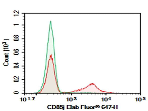 Anti-Human CD85j Antibody [GHI/75] - ABMIUM
