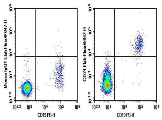 Human peripheral blood lymphocytes were stained with 0.2 μg Purified Anti-Human CD74 Antibody[LN2] (Right) and 0.2 μg Mouse IgG1, κ Isotype Control (Left), followed by Elab Fluor<sup>®</sup> 647-conjugated Goat Anti-Mouse IgG Secondary Antibody, then anti-Human CD19 PE-conjugated Monoclonal Antibody.