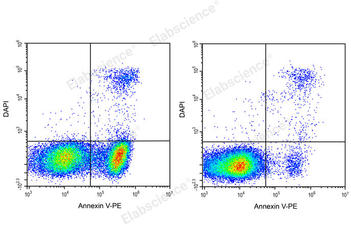 Annexin V-PE/DAPI Apoptosis Kit - ABMIUM