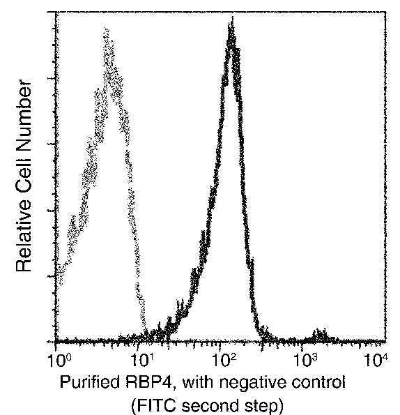Anti-Mouse RBP4 Antibody [B417] - ABMIUM