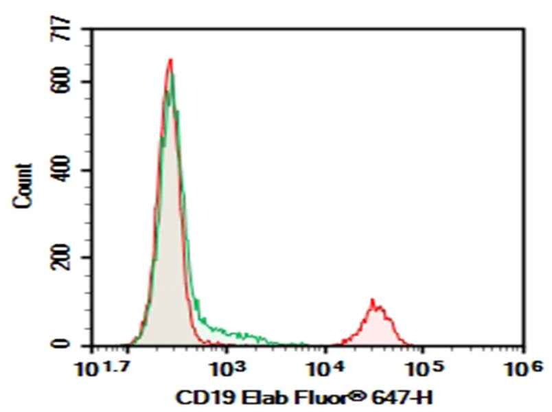 Anti-Human CD19 Antibody [HD37] - ABMIUM