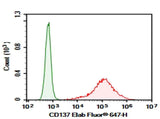 Anti-Human CD137 Antibody [BBK-2] - ABMIUM