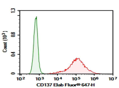 Anti-Human CD137 Antibody [BBK-2] - ABMIUM