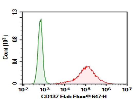 Anti-Human CD137 Antibody [BBK-2] - ABMIUM
