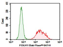 Anti-Human FOLH1 Antibody [107-1A4] - ABMIUM
