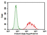 Anti-Human FOLH1 Antibody [107-1A4] - ABMIUM