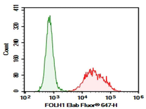 Anti-Human FOLH1 Antibody [107-1A4] - ABMIUM