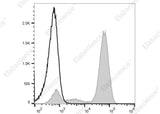 Anti-Mouse IgG Antibody [Poly1440] - ABMIUM