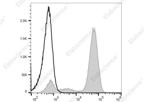Anti-Mouse IgG Antibody [Poly1440] - ABMIUM