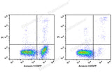 Annexin V-EGFP/PI Apoptosis Kit - ABMIUM