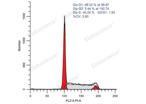 Cell Cycle Assay Kit (Red Fluorescence) - ABMIUM