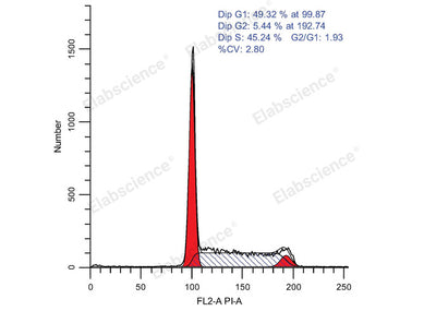 Cell Cycle Assay Kit (Red Fluorescence) - ABMIUM