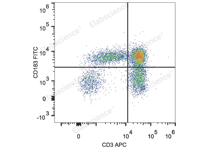 Human peripheral blood lymphocytes are stained with FITC Anti-Human CD183/CXCR3 Antibody and APC Anti-Human CD3 Antibody. 