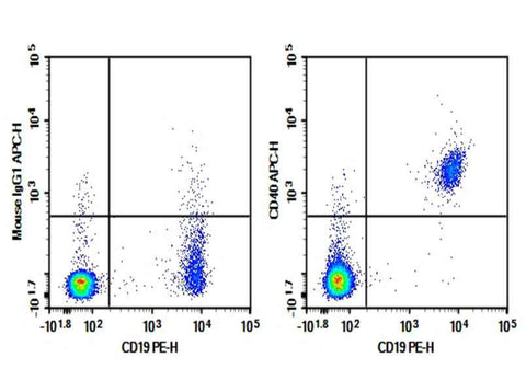 Anti-Human CD40 Antibody [5C3] - ABMIUM