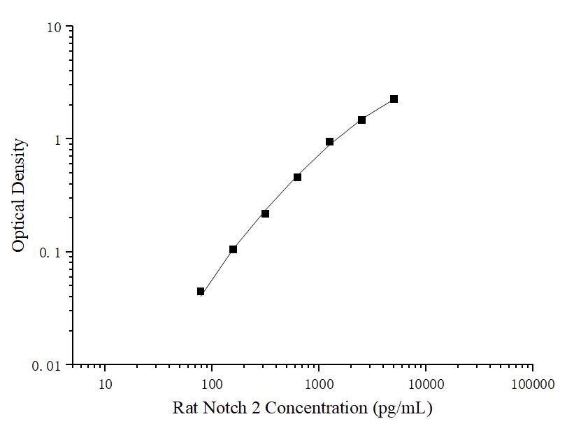 Uncoated Rat Notch 2(Notch Homolog 2) ELISA Kit - ABMIUM