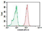 Anti-Human CD329 Antibody [K8] - ABMIUM