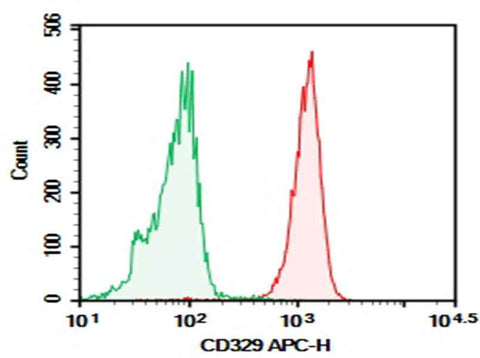 Anti-Human CD329 Antibody [K8] - ABMIUM