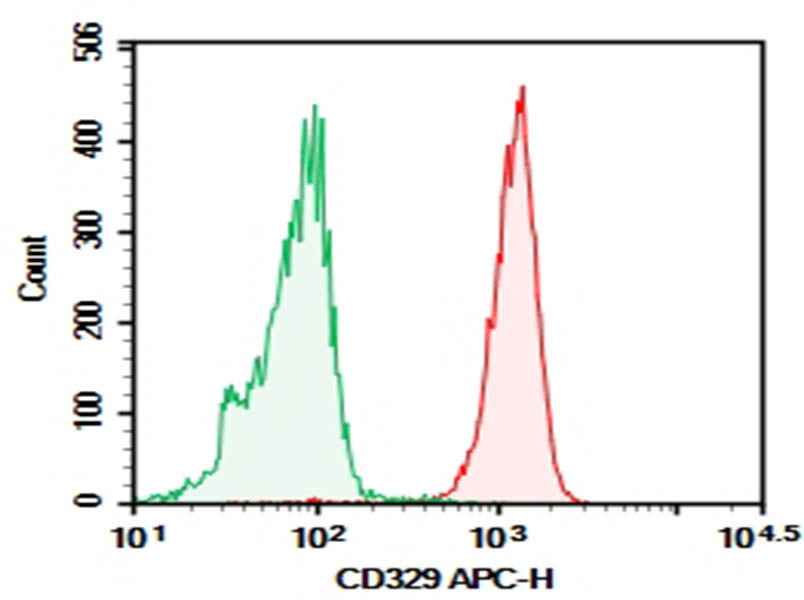 Anti-Human CD329 Antibody [K8] - ABMIUM