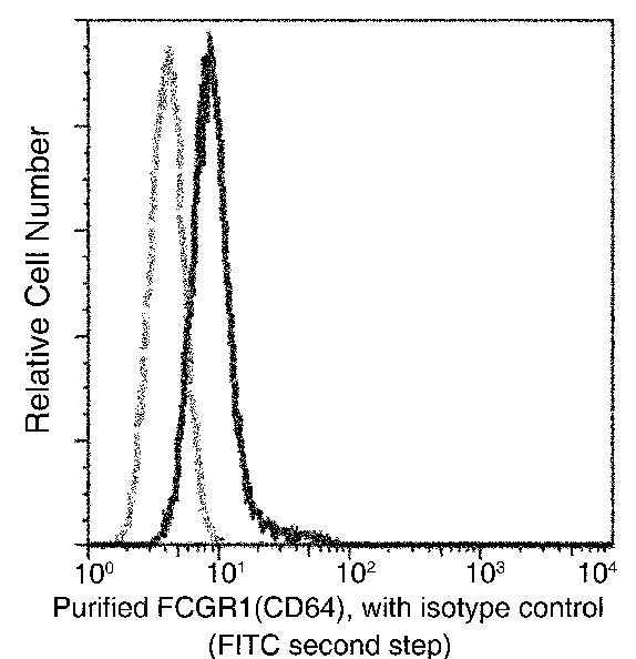 Anti-Mouse FCGR1 Antibody [B402]